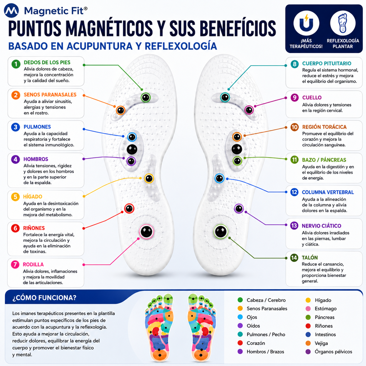 Magnetic Fit® – Palmilla Ortopédica Magnética para Mayor Comodidad al Caminar